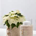 2023_poinsettia_03150_DIY_Cosy_Knitwear_Vase_02