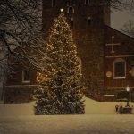 christmas-tree-6895765_1280