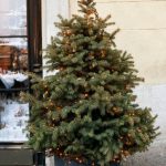 Christmas tree with luminous garland in flower pot near house wall