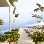 forseason_anguilla_08