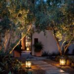 10 Best Outdoor Lighting Ideas & Landscape Design Secrets