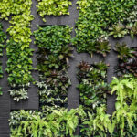 Green wall, eco friendly vertical garden