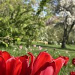IMG_6504
