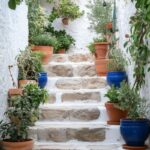 Hozd el a mediterrán hangulatot a kertedbe! Görög kert itthon? 12+5 extra tipp a mediterrán hangulathoz Képzeld el, ahogy a napfény játszik a fehér falakon, a levendula illata keveredik a meleg, tengeri szellő illatával, miközben olajfák árnyékában pihensz. Ez nem csak egy görög szigeten lehet valóság – a saját kertedben is megidézheted ezt a varázst. Mutatjuk, hogyan!