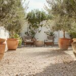 Hozd el a mediterrán hangulatot a kertedbe! Görög kert itthon? 12+5 extra tipp a mediterrán hangulathoz Képzeld el, ahogy a napfény játszik a fehér falakon, a levendula illata keveredik a meleg, tengeri szellő illatával, miközben olajfák árnyékában pihensz. Ez nem csak egy görög szigeten lehet valóság – a saját kertedben is megidézheted ezt a varázst. Mutatjuk, hogyan!