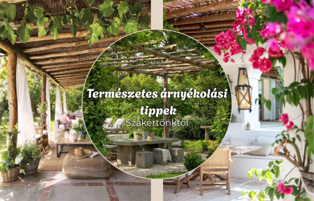 Természetes árnyékolás Nyáron mindig időszerűvé válik az árnyékolás témája a kertben. De vajon először neked mi jut eszedbe róla?