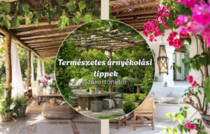 Természetes árnyékolás Nyáron mindig időszerűvé válik az árnyékolás témája a kertben. De vajon először neked mi jut eszedbe róla?