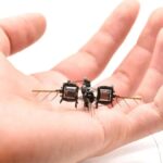 A robotméhek a jövő beporzói! Kezdhetünk hozzászokni a különös látványhoz? Kutatók futurisztikus megoldást találhattak a méhpopulációk csökkenésére: a robotméhecskéket.